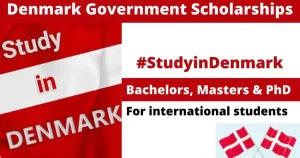 Read more about the article Danish Government Scholarship 2025 (Fully Funded)