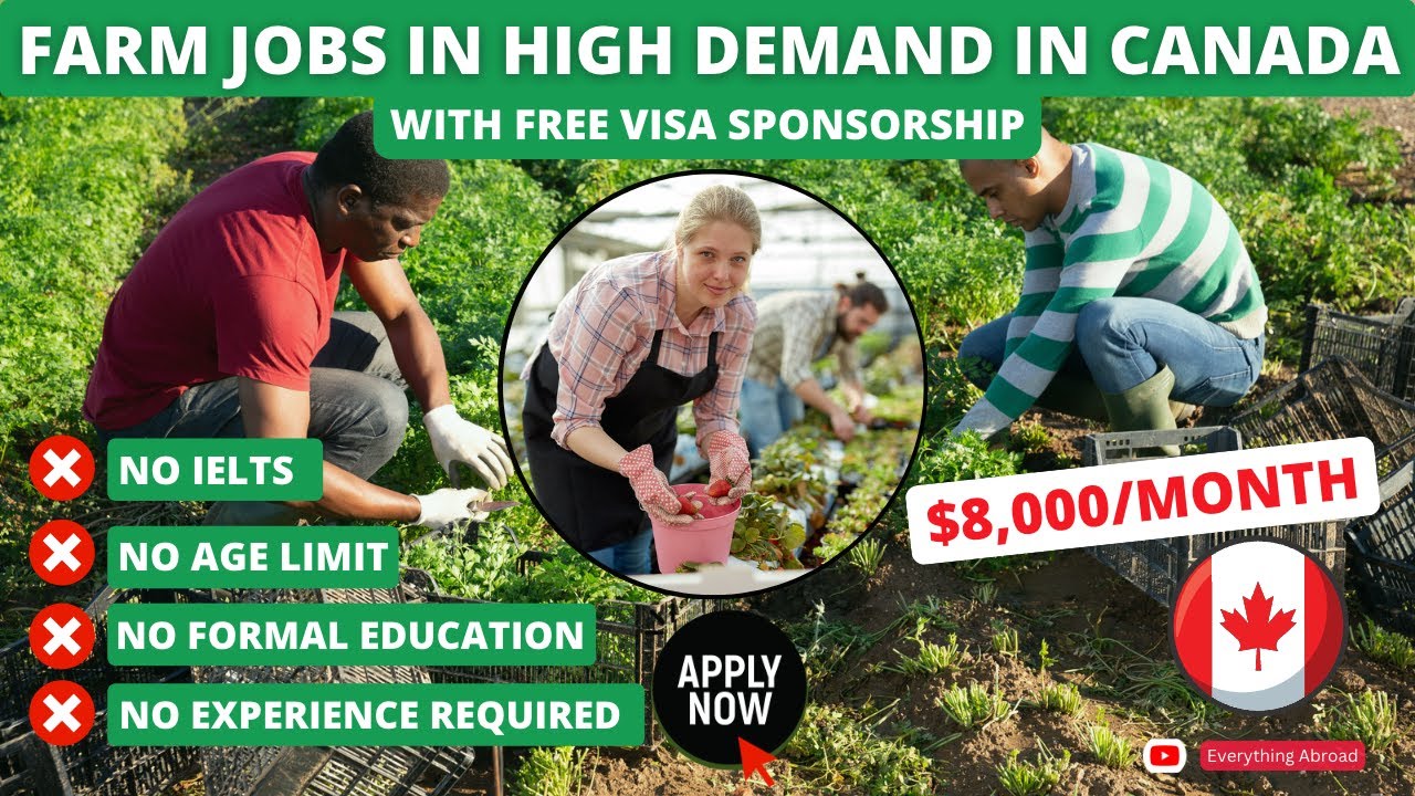 Read more about the article Fruit-Picking Jobs In Canada With Visa Sponsorship For Foreign Workers