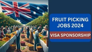 Read more about the article Fruit Picking Jobs in Australia With Visa Sponsorship 2024 – Apply Now!