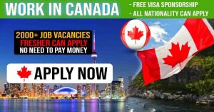 Read more about the article Unskilled Visa Sponsorship Jobs In Canada For Foreigners – No Education, No Experience Required