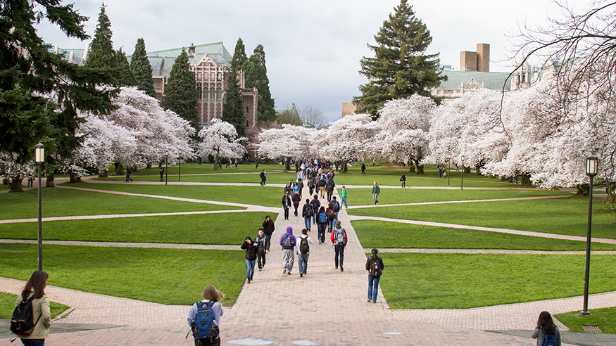 Read more about the article University of Washington Scholarships for International Students